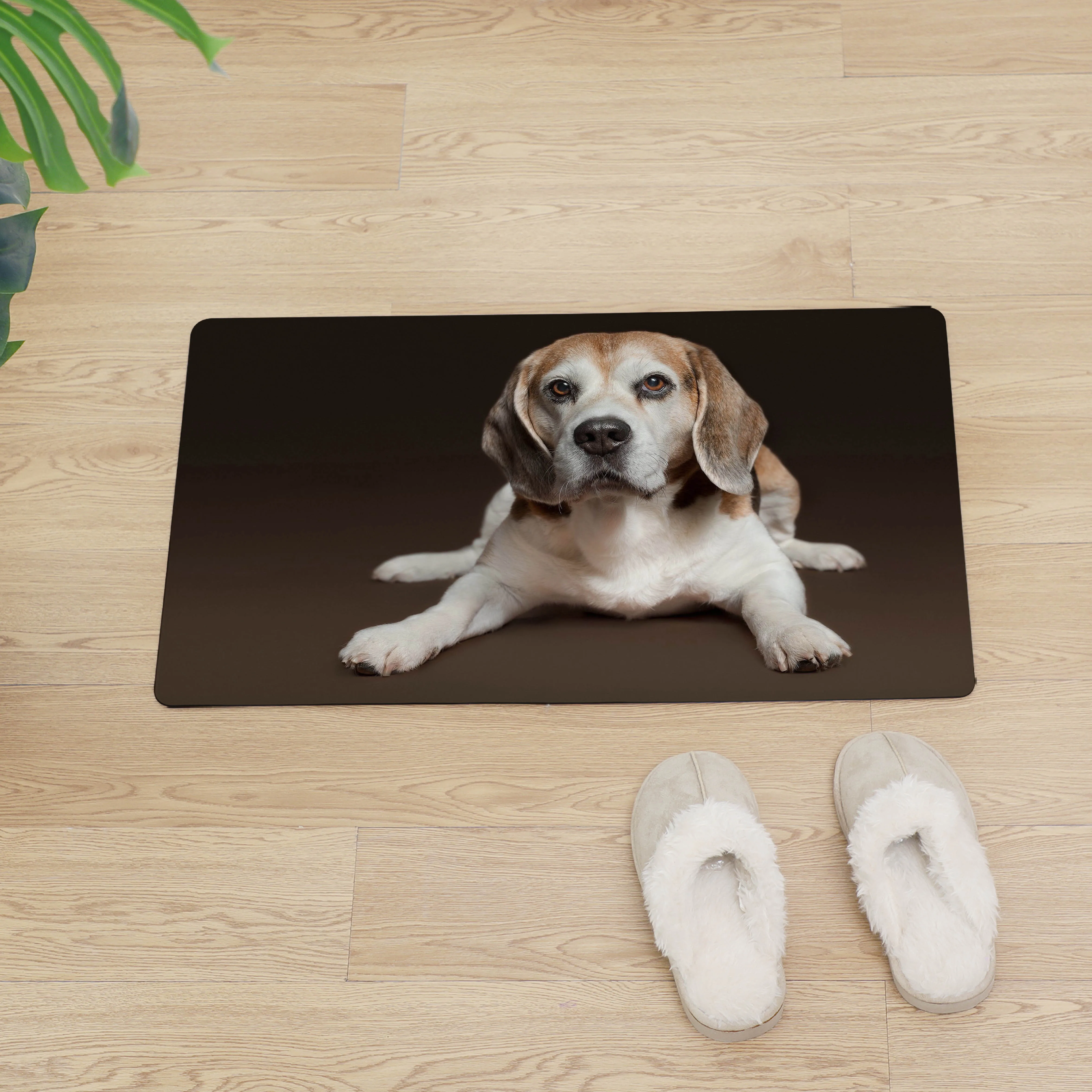 Коврик Beagle для собак Miguel Hound защитный напольный коврик входная дверь из ПВХ