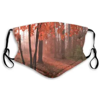 

Unisex Half Face Mouth Mask Face Masks Anti-Dust Face Windproof Ski,Misty Forest With Leaves From Deciduous Seasonal Trees Warm
