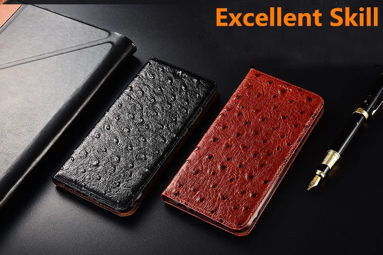 鸵鸟纹款_02_副本