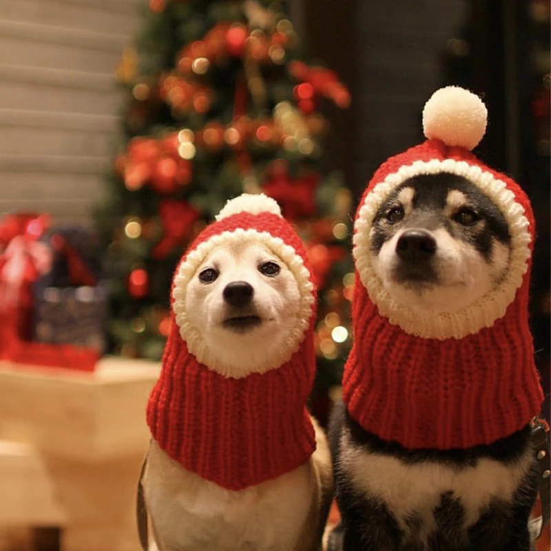 Christmas Dog Cap Knitted Pet Hats for Dogs Accessories Winter Warm Cat Dog Hat Puppy Pet Caps for Dogs Hat with Ball Headwear
