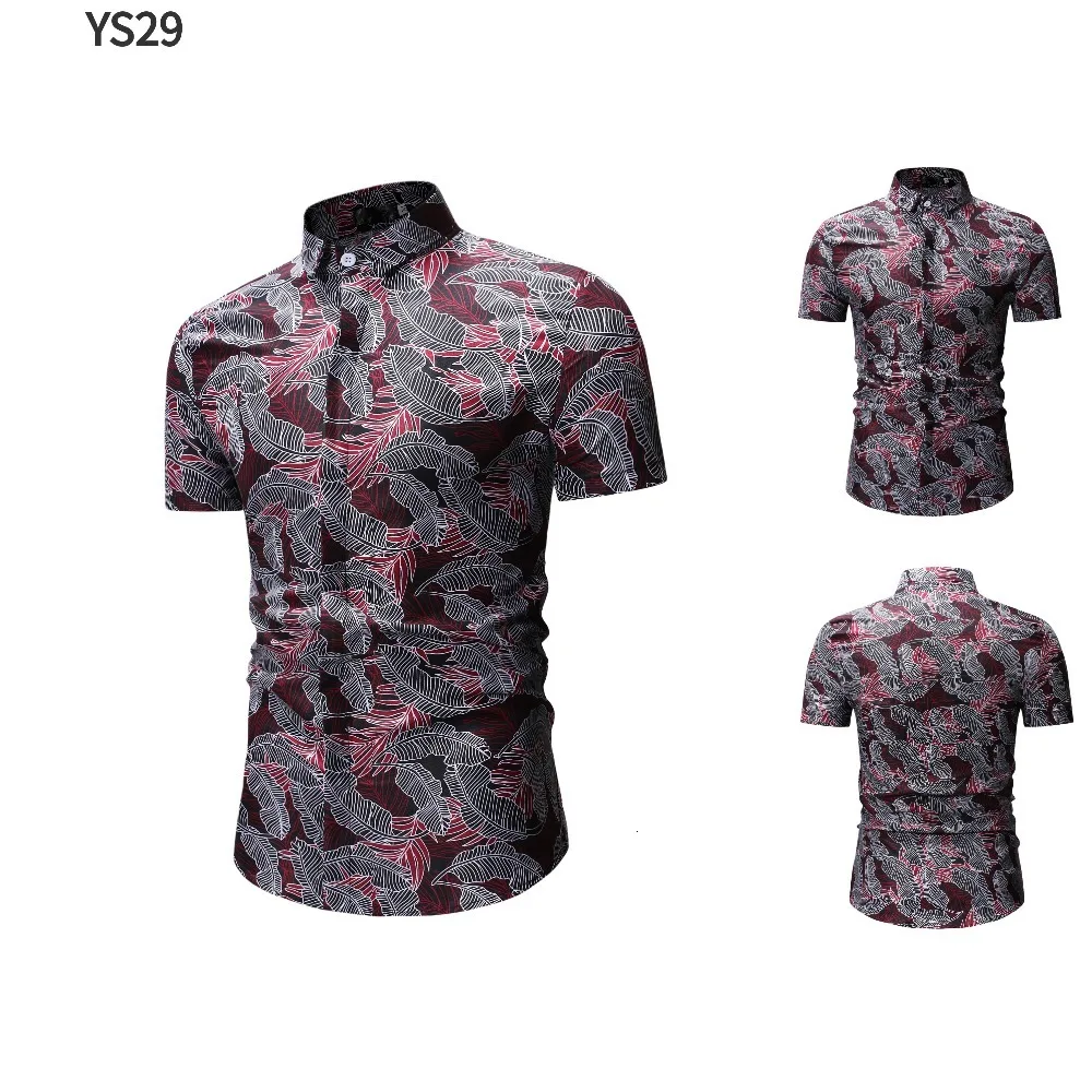 YS29-1