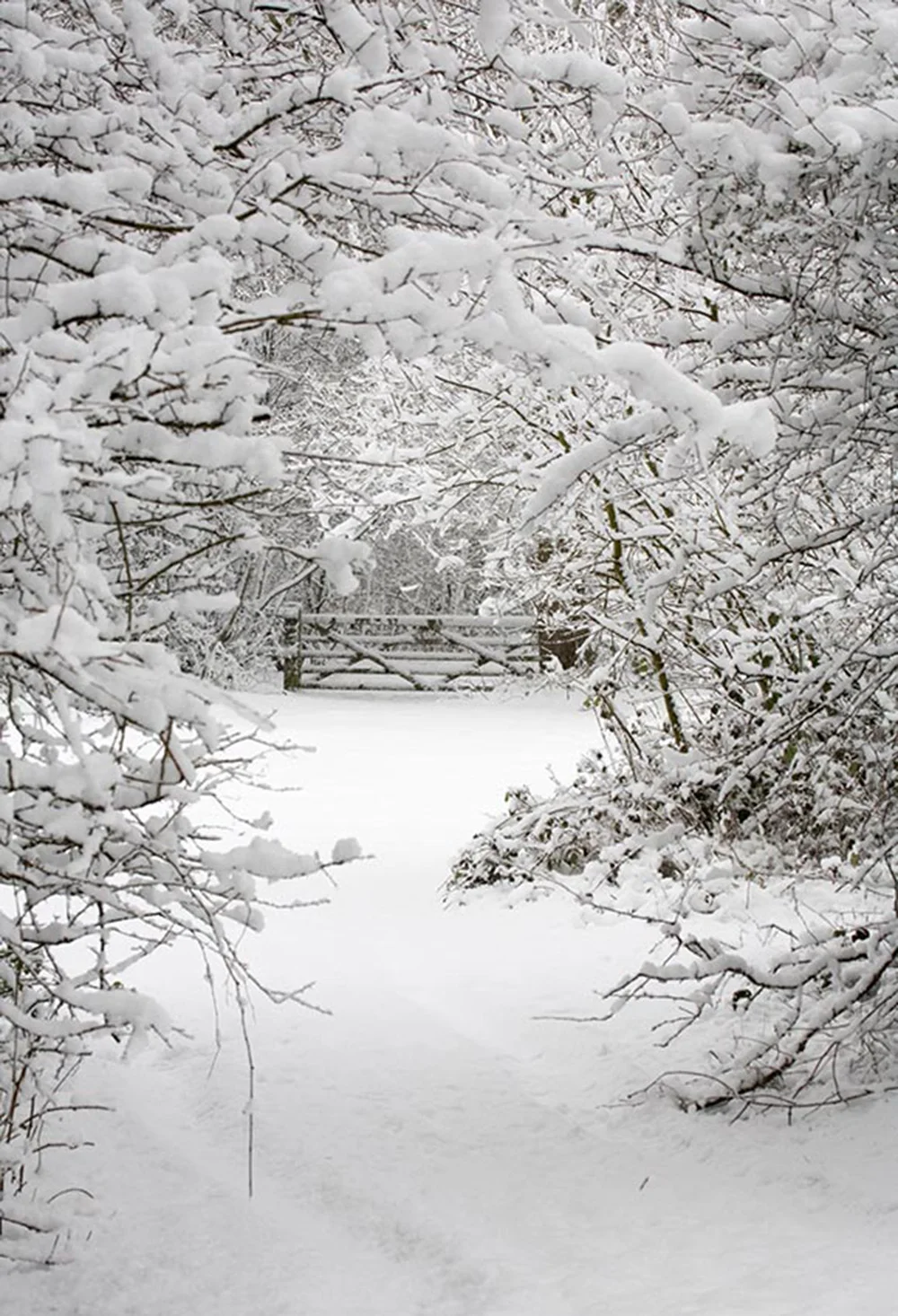 Фон для фотосъемки с изображением зимнего снега; фон для рождественской фотосъемки; реквизит для фотосъемки; виниловый тканевый фон с изображением дерева для детей