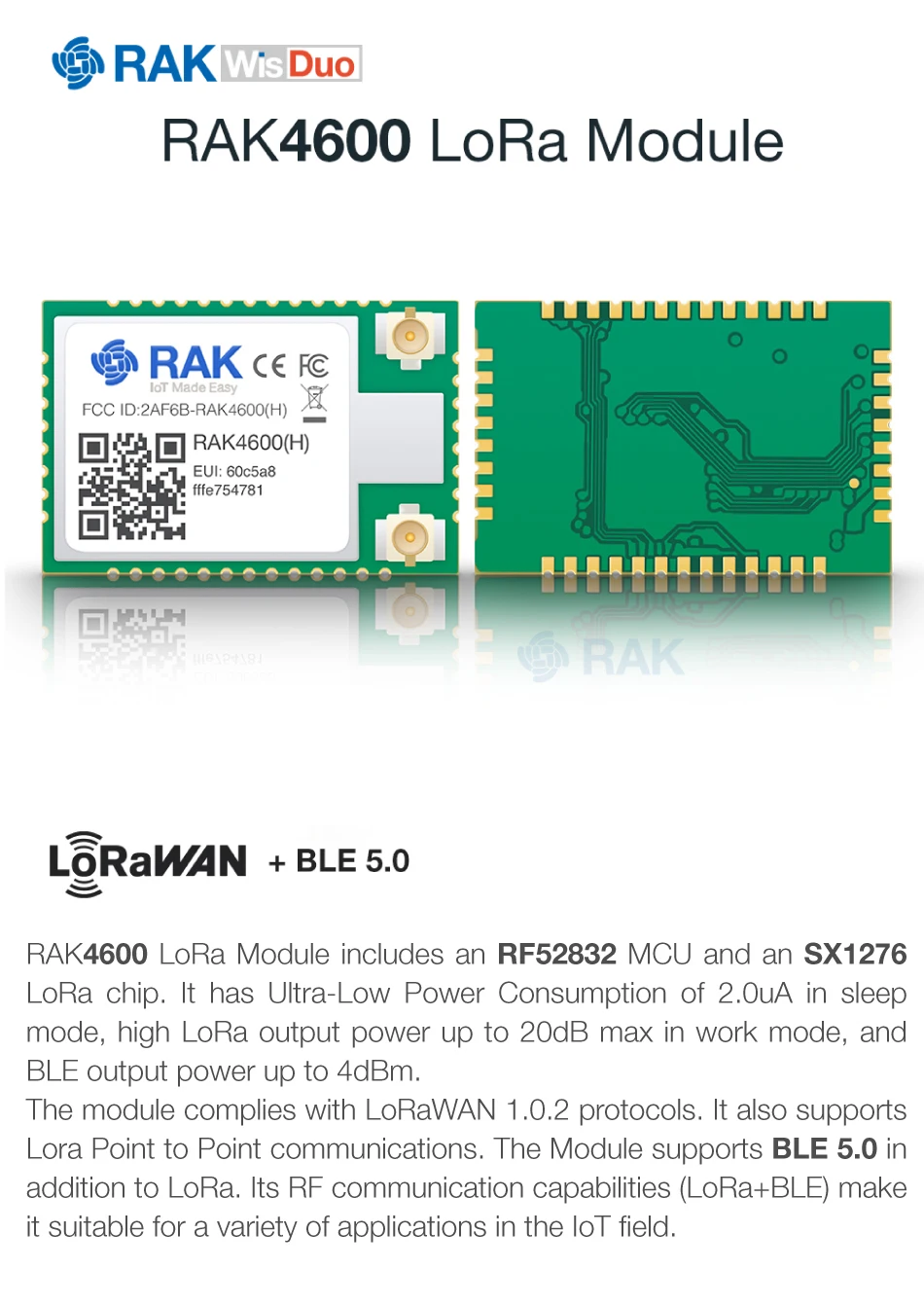 RAK4600-H_01