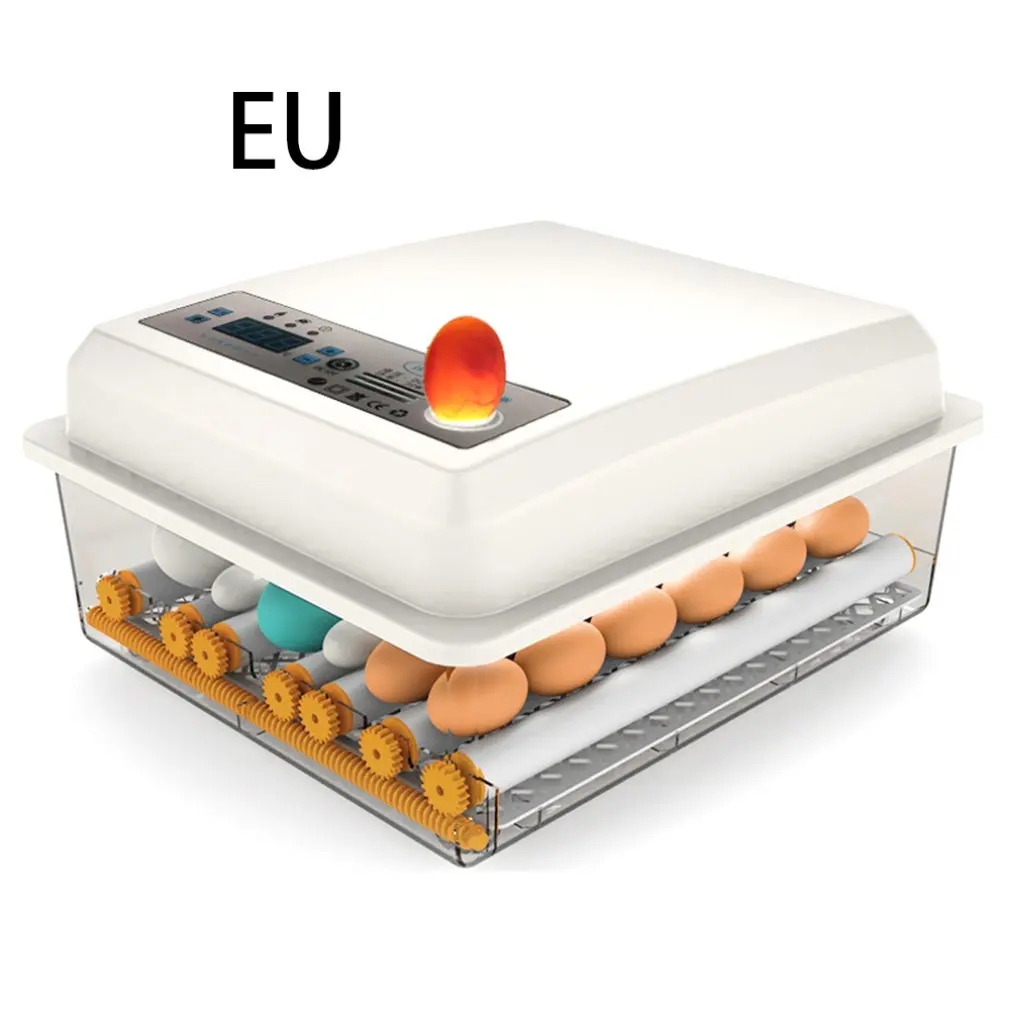 16Eggs EU