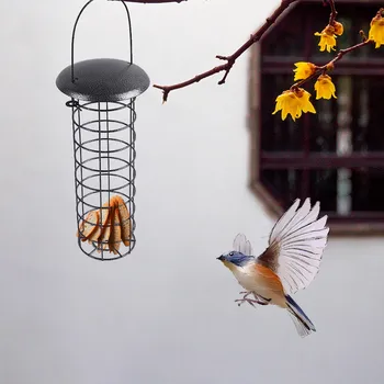 

Wild Bird Metal Feeder Hanging Feeders Viewing Window For Garden Yard Decoratio Hanging Gazebo Bird Feeder For Garden Decoratio