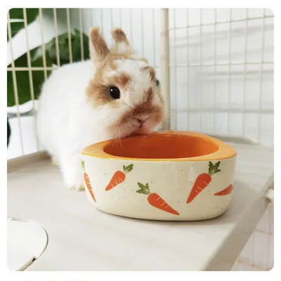 

Pet Carrot Ceramic Food Bowl Rabbit Chinchilla Guinea Pig Guinea Pig Cat and Dog Food Bowl Pet Ceramic Cartoon Bowl