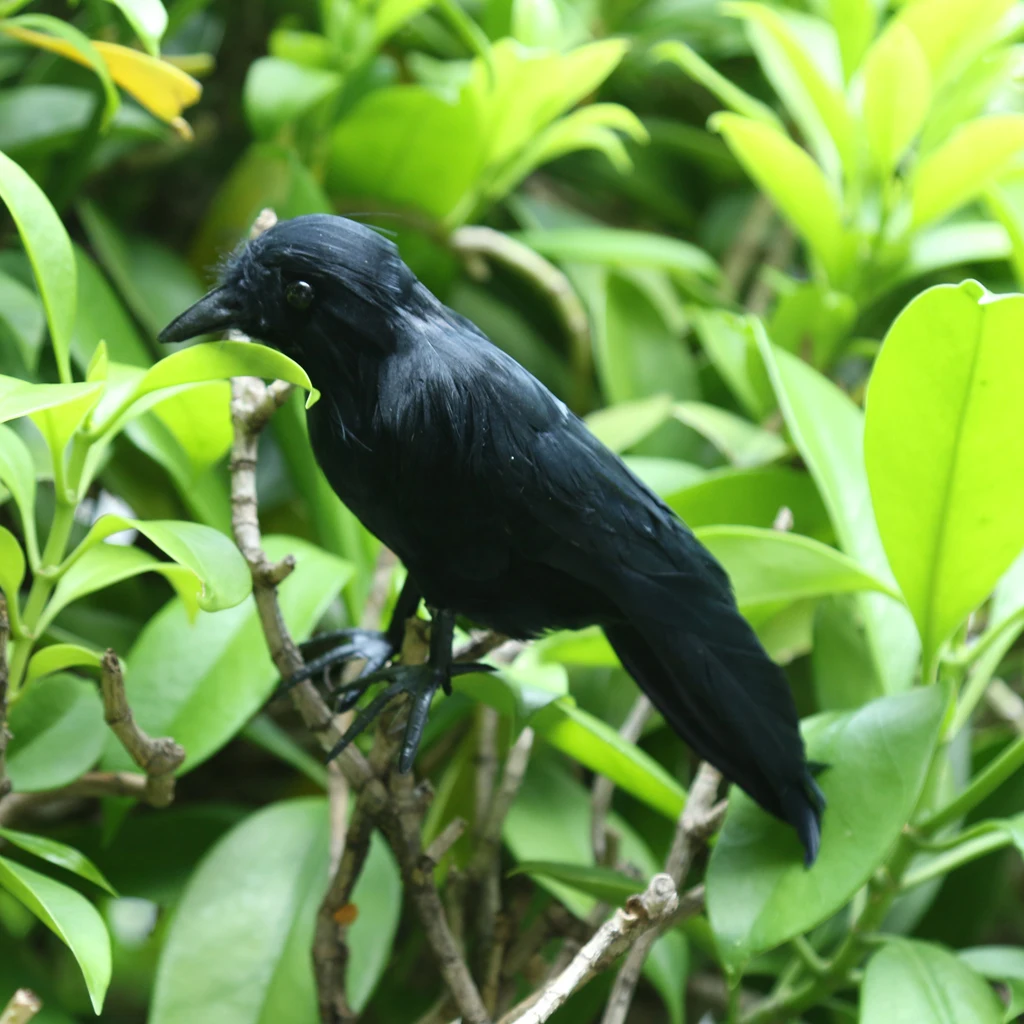 Artificial Crow Animal Feather Black Fake Bird Taxidermy Garden Holidays Decor Displays Ornament