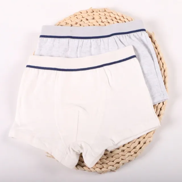 2 Pcs/Lot Boys Underwear Pure Color Kids Shorts Panties Cotton Baby Children Boxer for Teenager Underpants 2-10Y 5