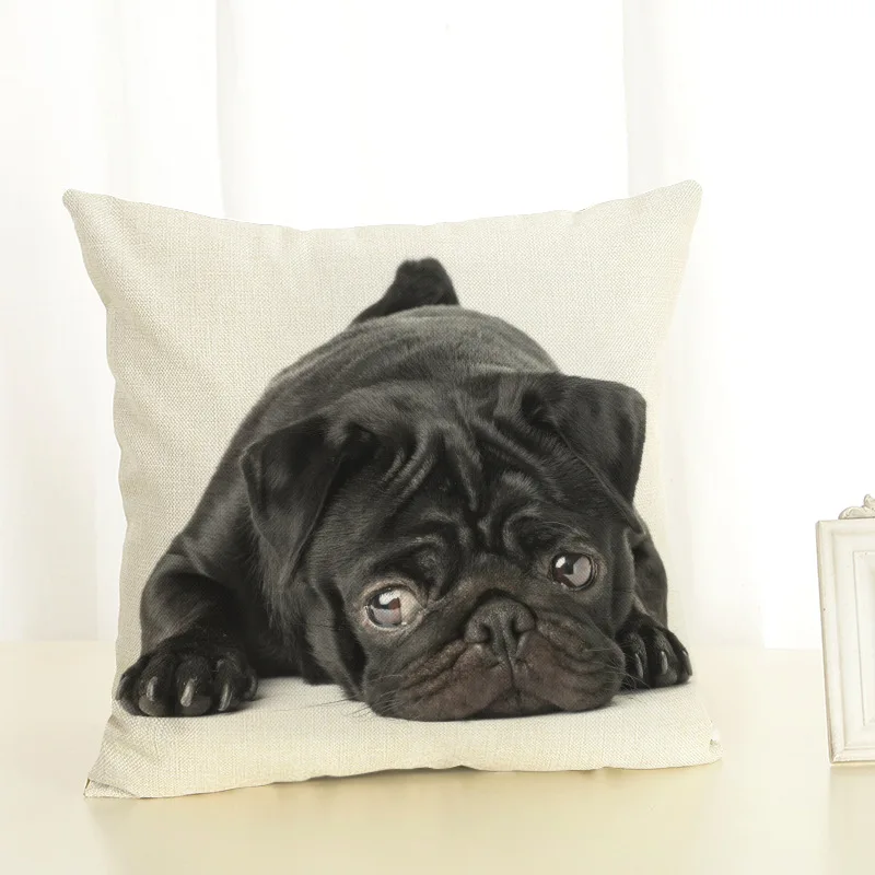 8867508195_1255064235