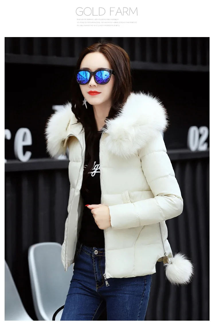 8959092061_1006637240