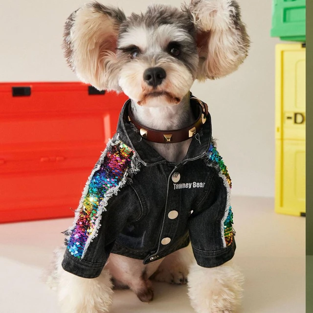 Luxury Dog Clothes Fashion Denim Dog Jacket Coat Spring Puppy Clothing  Jeans for Schnauzer French Bulldog Chihuahua ropa perro - AliExpress