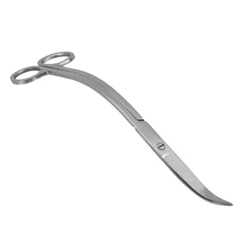 

Water purification plant scissors in steel aquarium