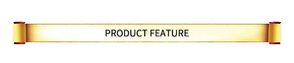 zzFEATURE