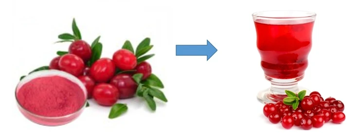 Cranberry Juice Powder_副本