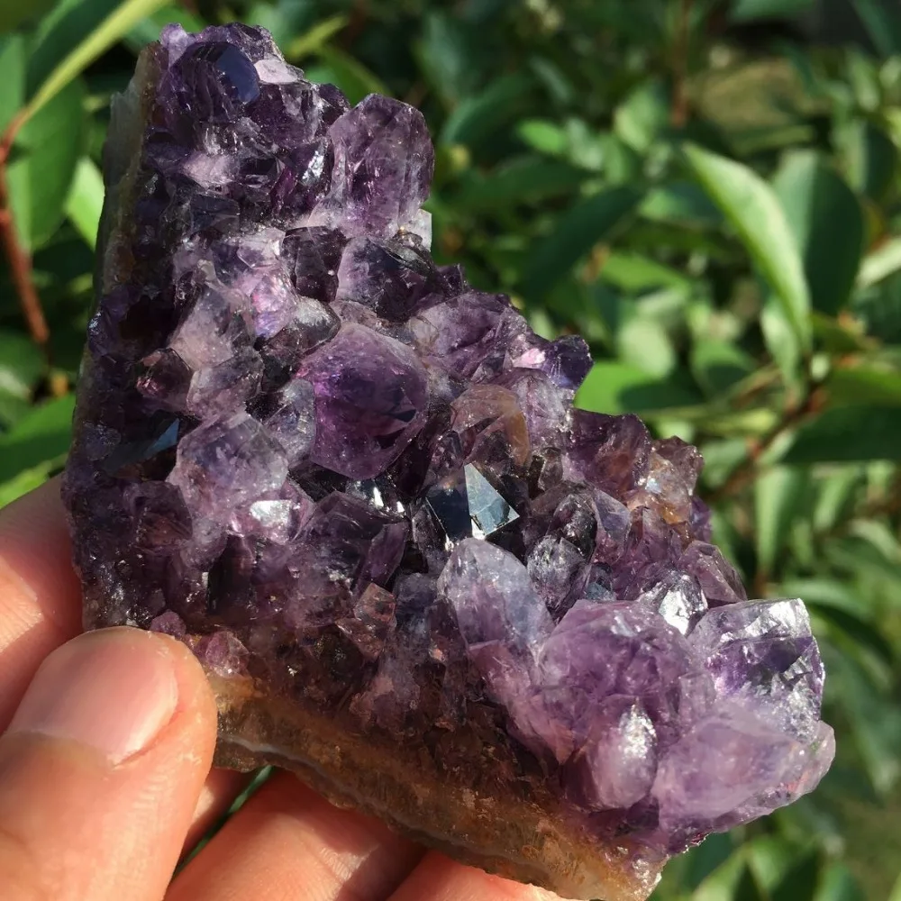 QQ图片20190909183657