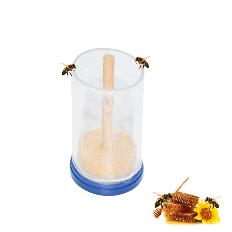 

Beekeeping Queen Bee Labeled Bottle Bee Tools New Fertility King Mark Plastic Bottle Beekeeping Tools Apiculture