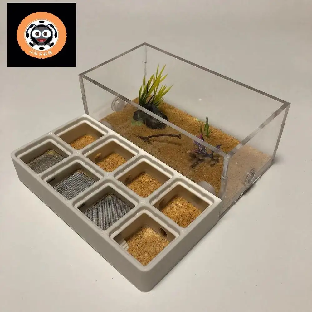3D печать PLA Ant Nest новые муравьи фермы плоские акриловые муравьи мастерские насекомые клетки граня де гормигаз nid fourmis вилла ПЭТ мания