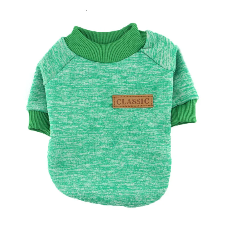 green dog clothes