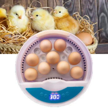 

9 Eggs Automatic Eggs Incubator Automatic Digital Brooder Chicken Hatchery Machine Duck Egg Breeder Temperature Poultry Heating
