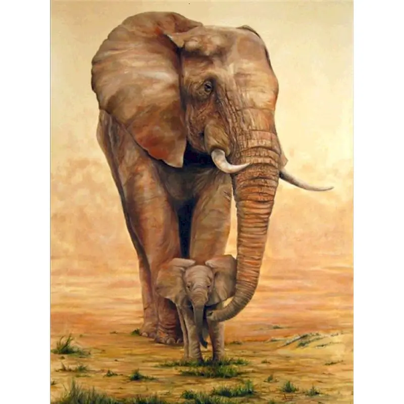 Elefante - Pintura por números – Zutopía DIY