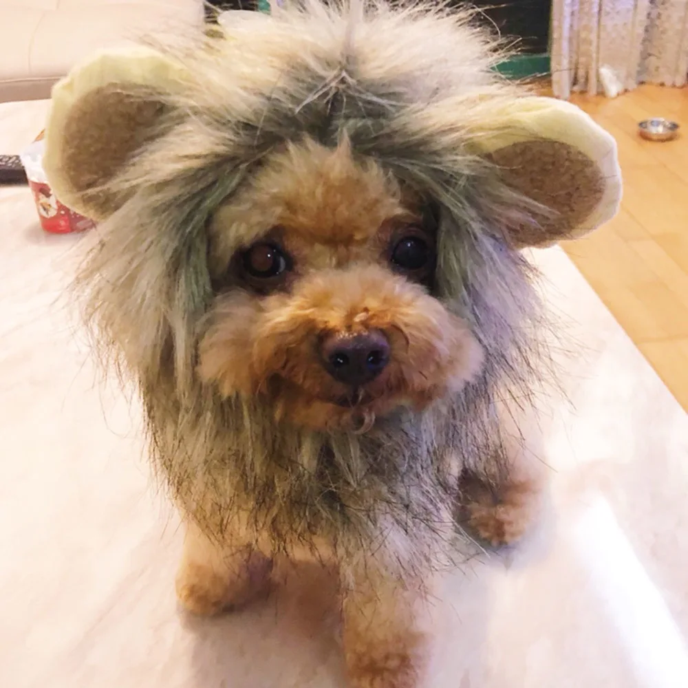 Hoopet-Pet-Cat-Costume-Clothes-Cap-Funny-Hat-Lion-Mane-Wig-Hat-Party-Cosplay-Accessory-Out (1)