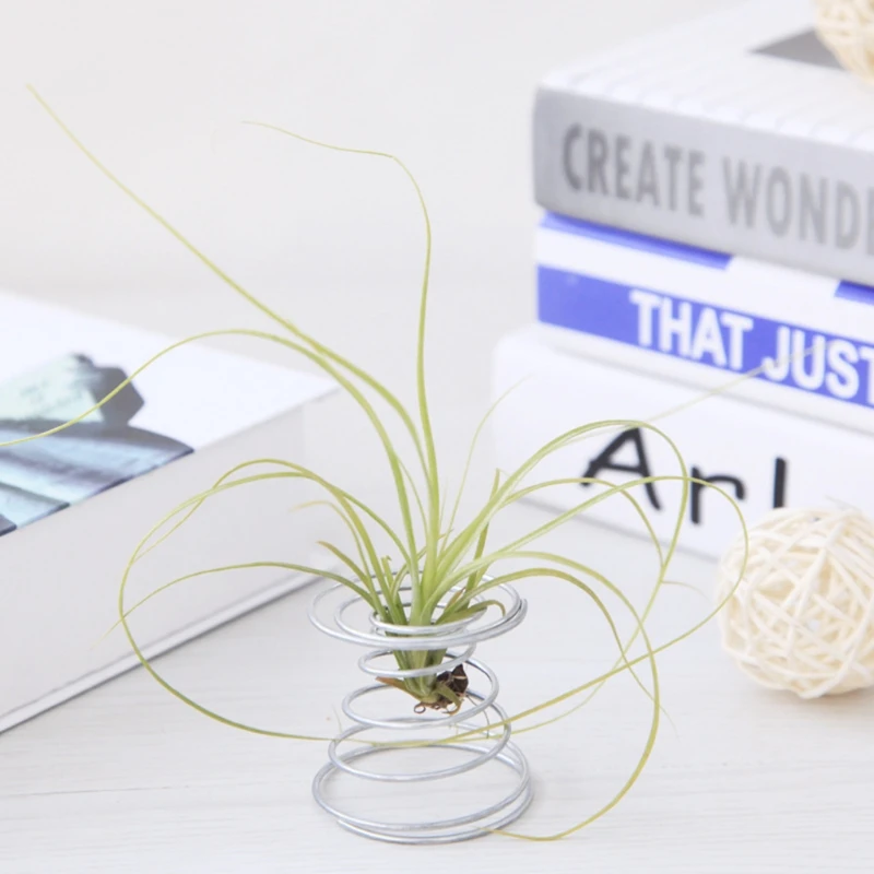 

Air Plant Spring Wire Tabletop Tillandsia Holder Miniature Gardening Decorations
