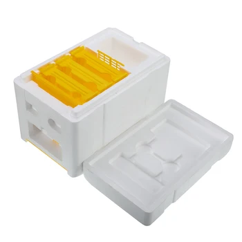 

Foam Hive Box Bee Queen Mating Box Copulation Pollination Beekeeping For Bee Mating Tool eehive Beekeeping Reserve Case