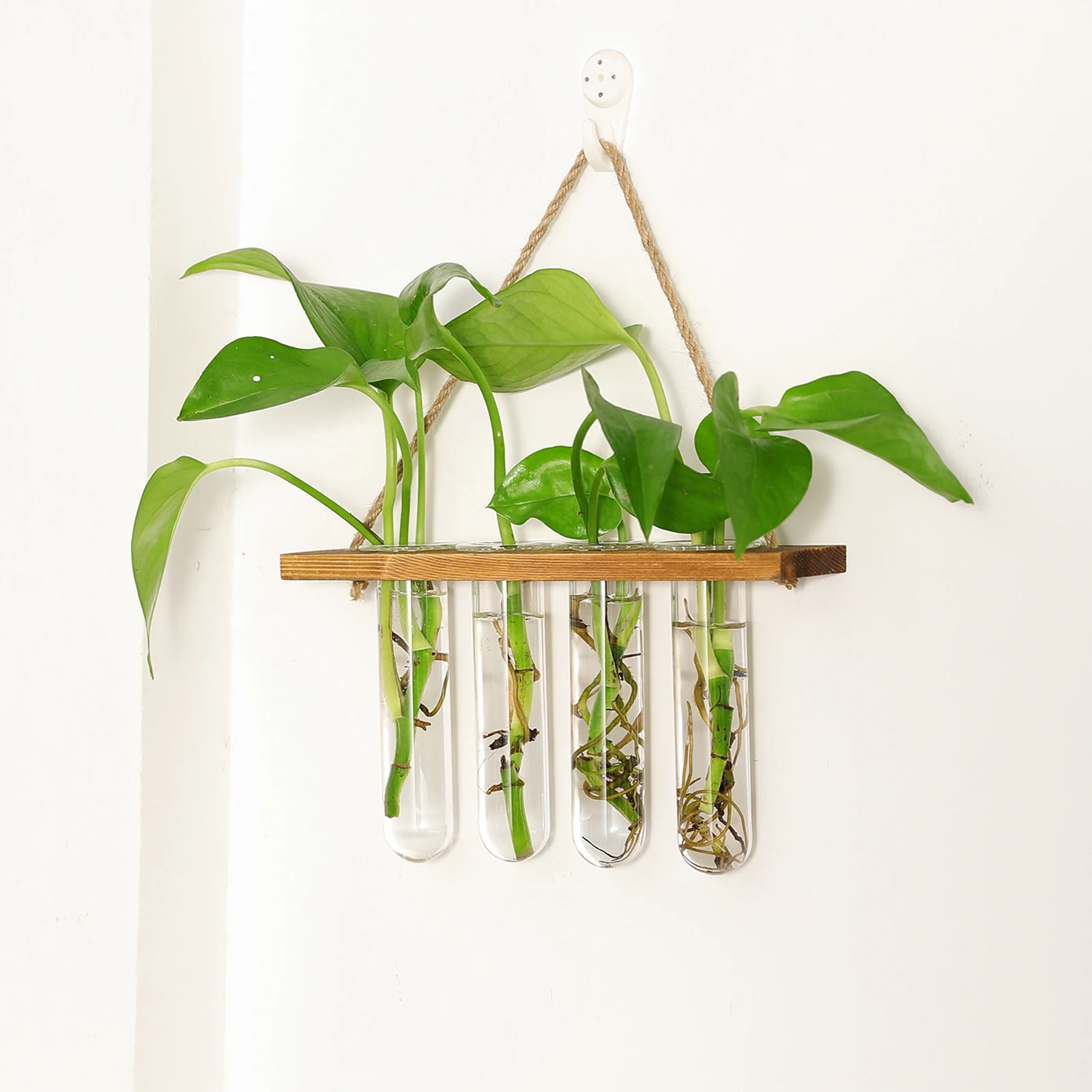 Glass Hanging Planter Terrarium Plants Wood Hanger Test Tube Vase Natural