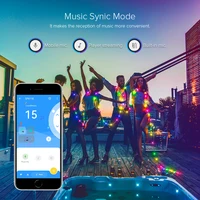 Łańcuch świątecznych lampek Dreamcolor BT muzyka WS2812B RGBIC oświetlenie adresowalne wesele girlanda dekoracyjna zewnętrzna USB DC5V 3