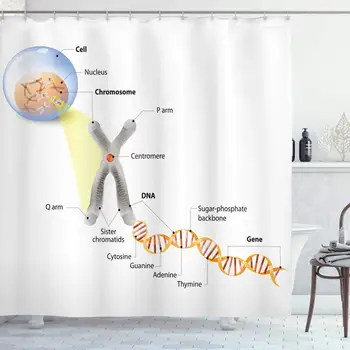 

Educational Shower Curtain Cell Chromosome DNA Gene Genome Study Double Helix Evolution Science Research Bathroom Decor Set