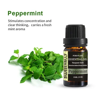 

Optional Dropship 10ML 13 Flavors Floral Essential Oil for Diffuser Aromatherapy Oil Pure Aroma Oil Pine Needles Oil Help Sleep