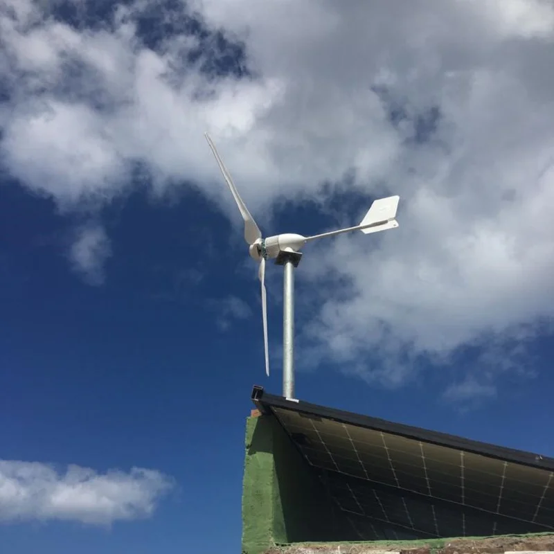 1000 Вт 24 В/48 в ветряная турбина генератора Eolico Gerador De Energy генератор низких оборотов с 1000 Вт Водонепроницаемый Контроллер для домашнего использования