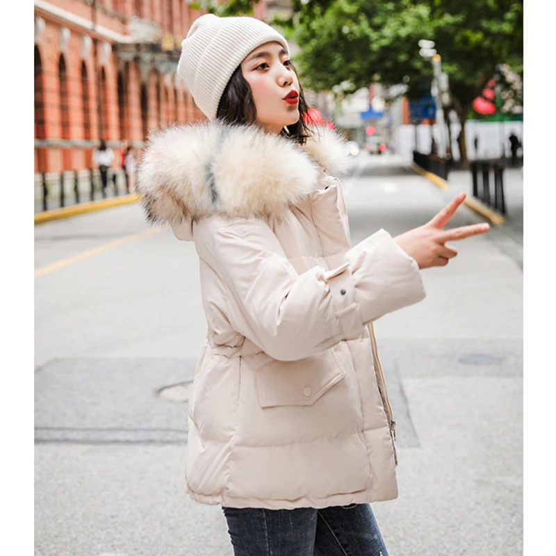 NU1123W(4)
