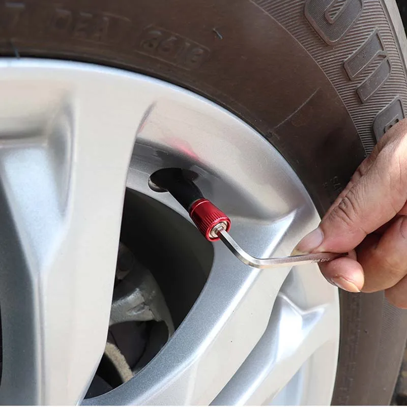 Car tire valve Valve cap (6)