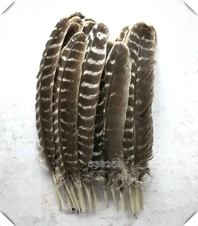 natural 25-30cm 50 шт. Натуральное перо индейки Редкие Дикие перья фазана для рукоделия и Millinery - Цвет: natural 25-30cm