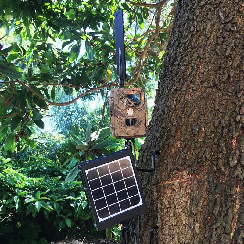Universal M5 1/4 inch Scouting Trail Camera Mount Holder Adjustable Tree Stand Screw For Solar panel Charger Night Vision 6