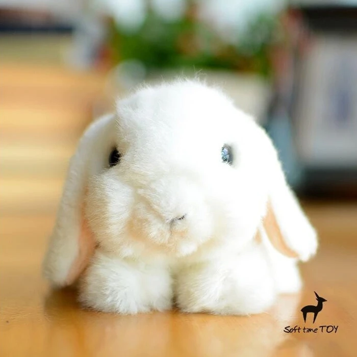 Kawaii маленький белый кролик плюшевые куклы игрушки для подарки на день рождения для девочек мягкие настоящие игрушки магазины