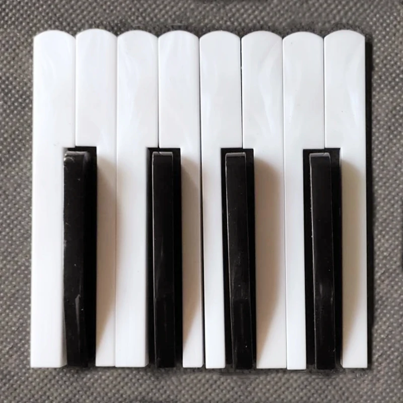 Accordion Keyboard Accessories Professional Maintenance 120Bass