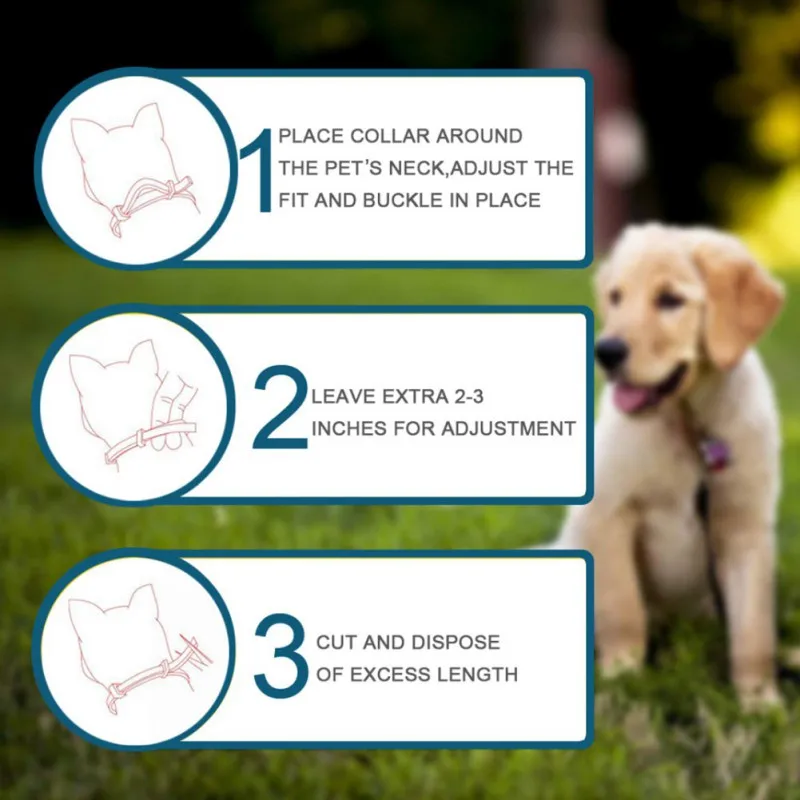 Safe Tick Flea Anti Insect Mosquitoes Dog Collar Waterproof Long Lasting 8 Months Protection Puppy Cat Pet Collars