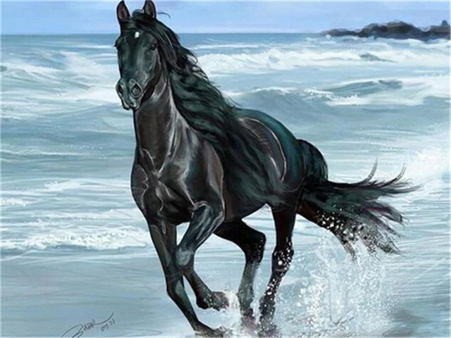 Painting by Numbers Horses Collection Black Stallion in Sea Surf