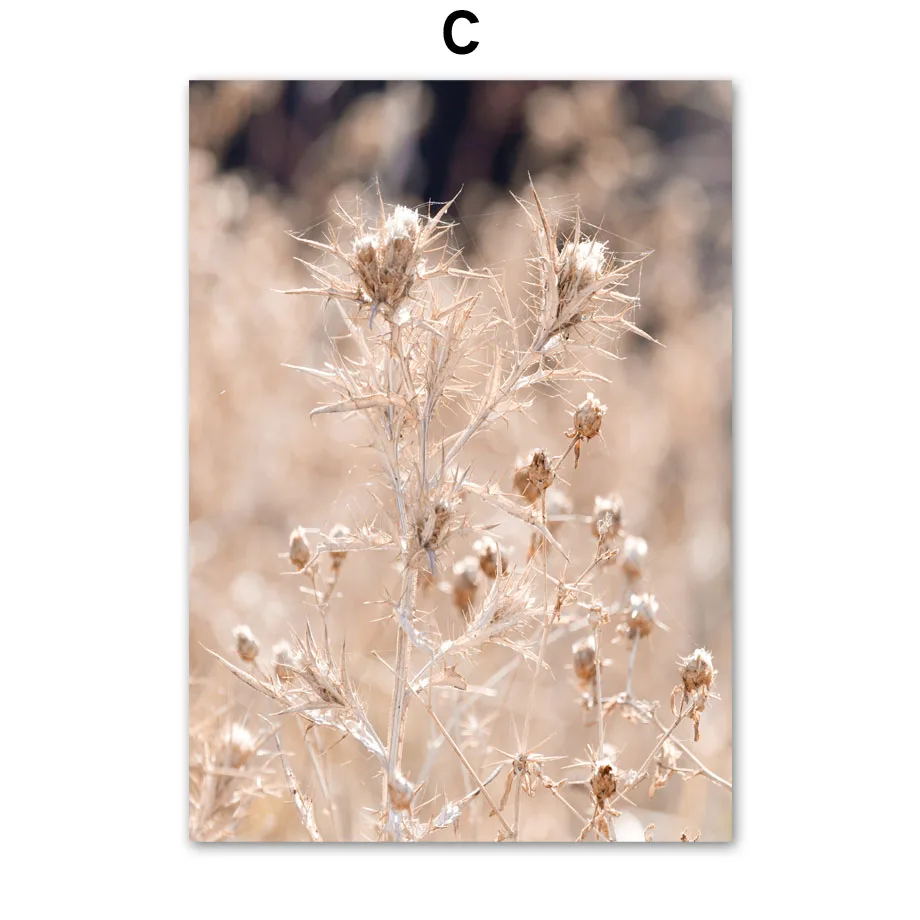 Wall-Art-Canvas-Painting-Natural-Reed-Dandelion-Flower-Leaf-Plant-Quotes-Nordic-Posters-And-Prints-Wall (5)