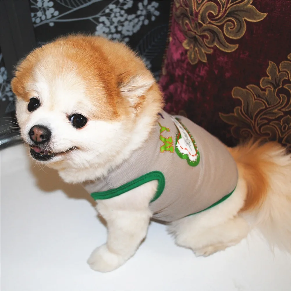 10802588826_361259826