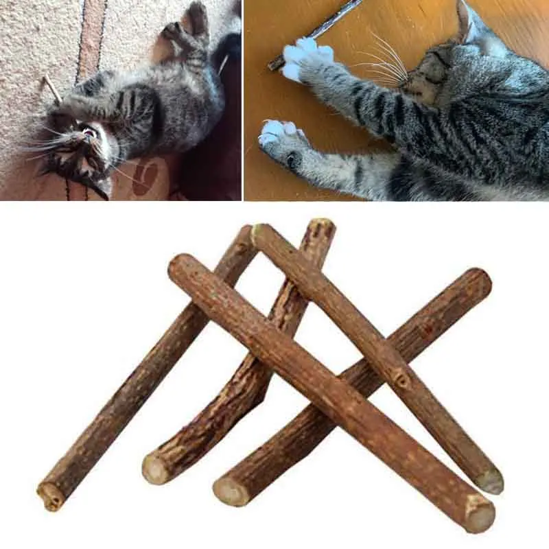 

5/10/15/20pcs Pure Natural Catnip Pet Cat Toy Molar Toothpaste Branch Cleaning Teeth Silvervine Cat Snacks Sticks Pet Supplies