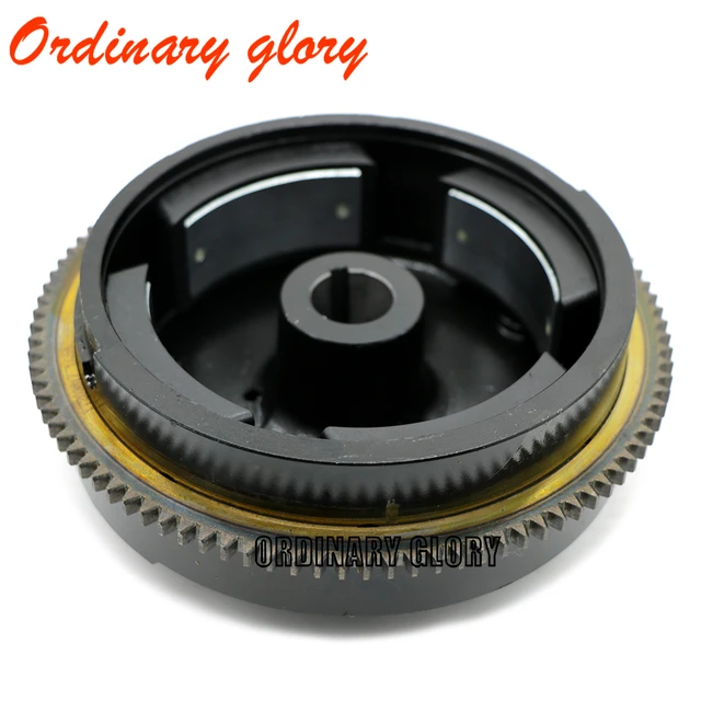 6hp Briggs And Stratton Flywheel Collection Factory