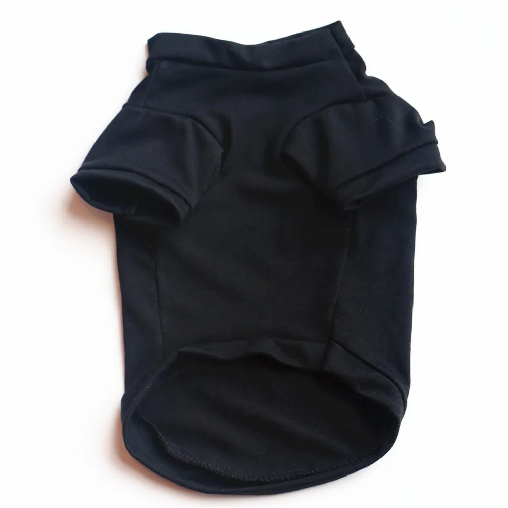 5268464036_361259826