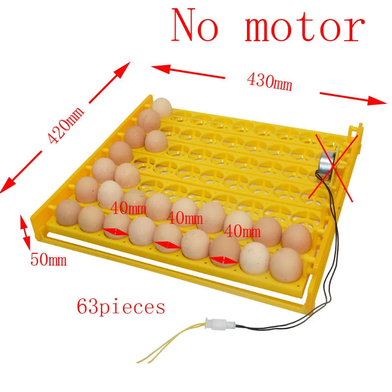 No motor