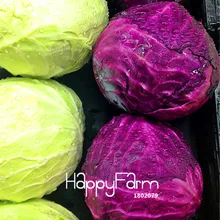 100 шт./лот,! ранние красные Акры, Капустные растения без ГМО, растительные бонсай