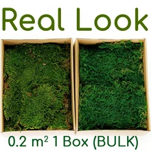 Стойкий консервированный листовой мох естественным образом высушенный зеленый плоский дерн для покрытия почвы и перевязки горшечных растений-1 коробка(0,2 м2