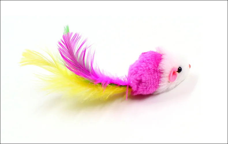 4559969391_1041227635