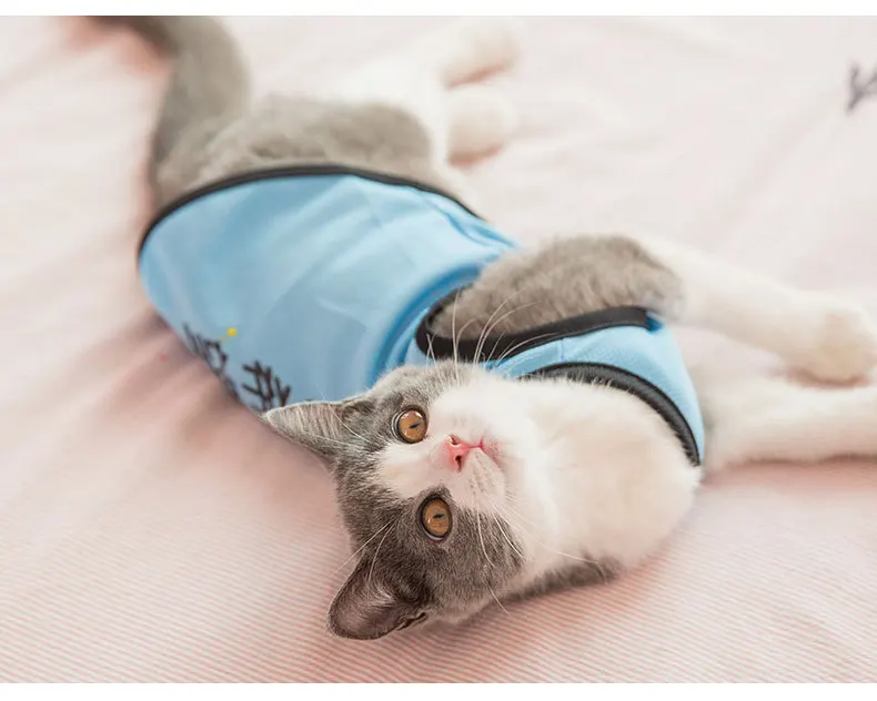 Одежда для кошек, жилет в сетку, летняя тонкая одежда для собак, дышащая Милая летняя одежда для собак
